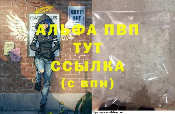спиды Осташков