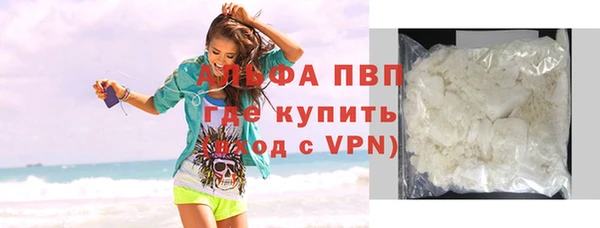 стаф Осинники