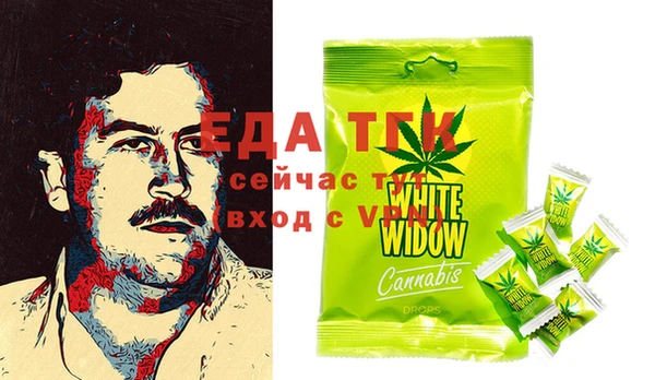 стаф Осинники