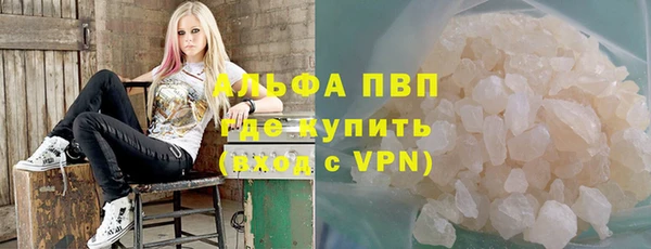 стаф Осинники