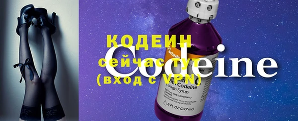 стаф Осинники