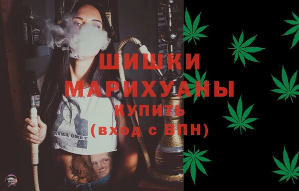 стаф Осинники